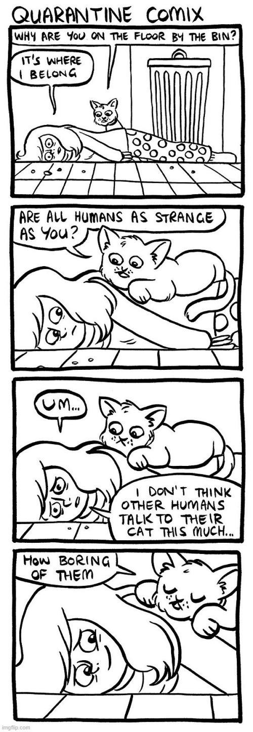 Cat Quaratine | image tagged in comics/cartoons | made w/ Imgflip meme maker