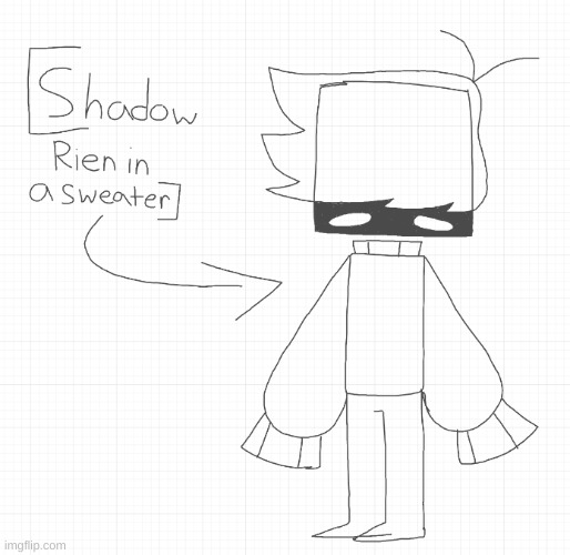 Shadow Rien in a sweater Blank Meme Template