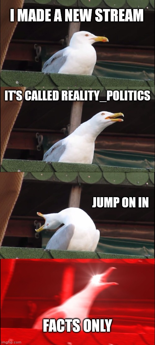 For Everytime I get censored, make a new stream | I MADE A NEW STREAM; IT'S CALLED REALITY_POLITICS; JUMP ON IN; FACTS ONLY | image tagged in memes,inhaling seagull | made w/ Imgflip meme maker