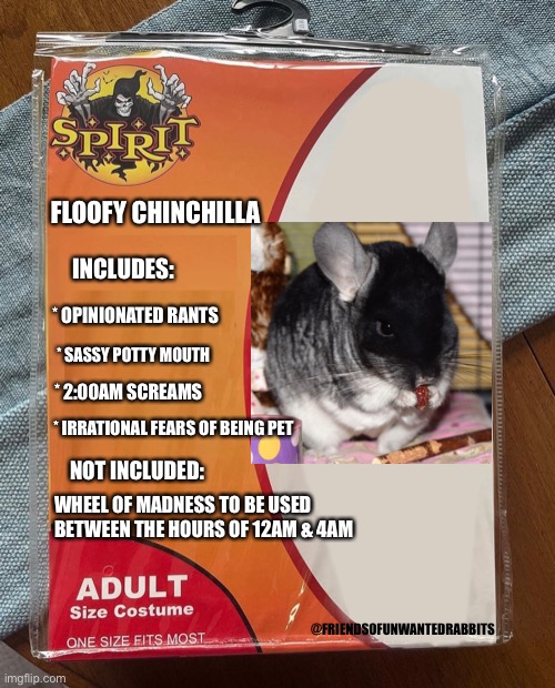 Chinchilla | FLOOFY CHINCHILLA; INCLUDES:; * OPINIONATED RANTS; * SASSY POTTY MOUTH; * IRRATIONAL FEARS OF BEING PET; * 2:00AM SCREAMS; NOT INCLUDED:; WHEEL OF MADNESS TO BE USED BETWEEN THE HOURS OF 12AM & 4AM; @FRIENDSOFUNWANTEDRABBITS | image tagged in spirit halloween | made w/ Imgflip meme maker