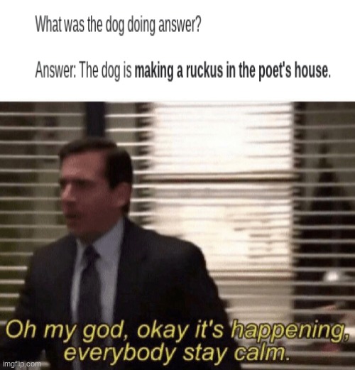 Finally...we know, what the dog doin | image tagged in oh my god okay it's happening everybody stay calm,what the dog doin,funny memes,iceu | made w/ Imgflip meme maker