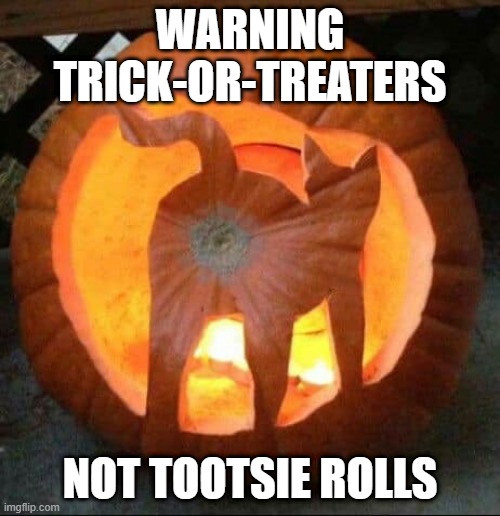 trick-not-treat | WARNING TRICK-OR-TREATERS; NOT TOOTSIE ROLLS | image tagged in halloween | made w/ Imgflip meme maker