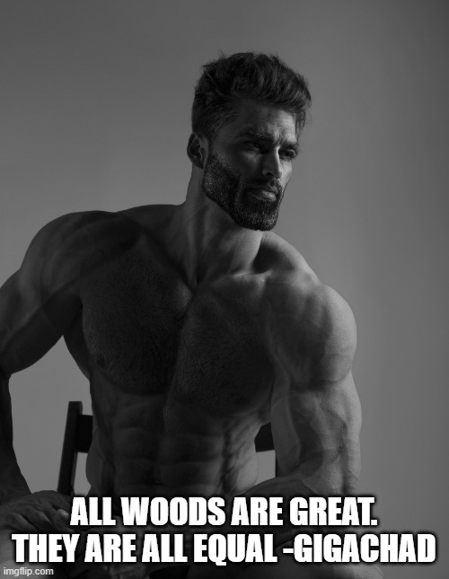 Giga Chad | ALL WOODS ARE GREAT. THEY ARE ALL EQUAL -GIGACHAD | image tagged in giga chad | made w/ Imgflip meme maker