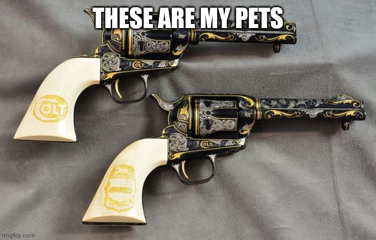 THESE ARE MY PETS | made w/ Imgflip meme maker