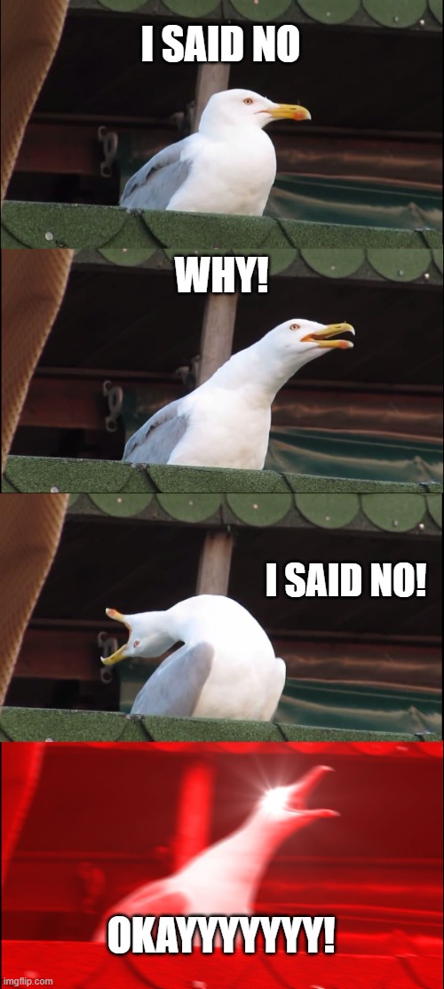 I said no | I SAID NO; WHY! I SAID NO! OKAYYYYYYY! | image tagged in memes,inhaling seagull | made w/ Imgflip meme maker