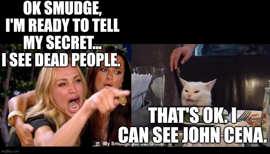 OK SMUDGE, I'M READY TO TELL MY SECRET... I SEE DEAD PEOPLE. THAT'S OK. I CAN SEE JOHN CENA. | image tagged in smudge the cat | made w/ Imgflip meme maker