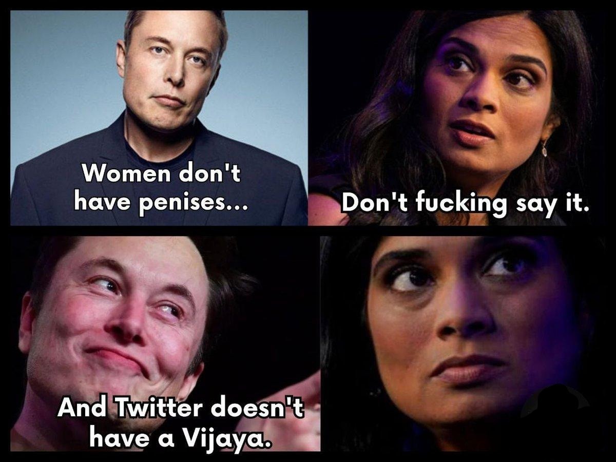 Women don't have a penis, and twitter doesn't have a vagina. | image tagged in boys have a penis,triggered liberal,triggering liberals,elon musk,elon musk laughing,you're fired | made w/ Imgflip meme maker