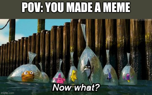 Now What? | POV: YOU MADE A MEME | image tagged in now what | made w/ Imgflip meme maker