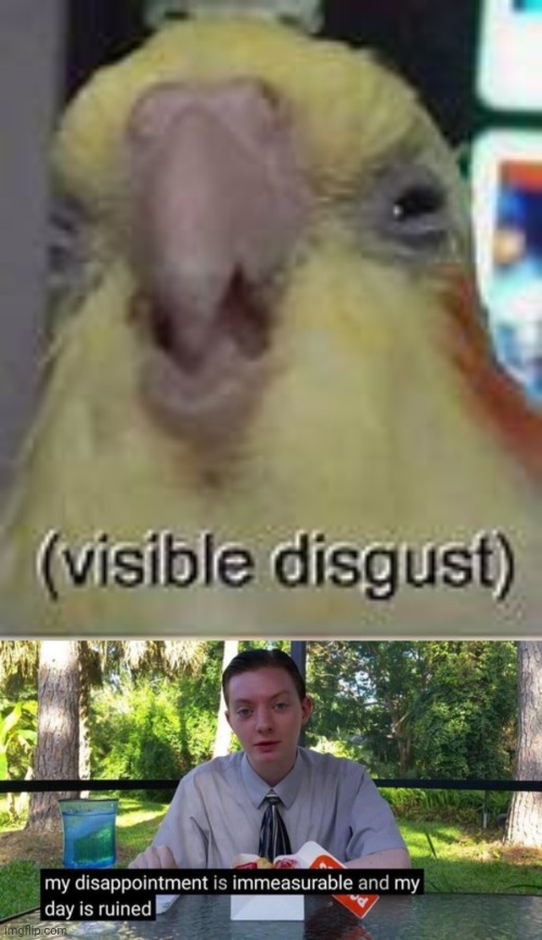 image tagged in visible disgust,my dissapointment is immeasureable and my day is ruined | made w/ Imgflip meme maker