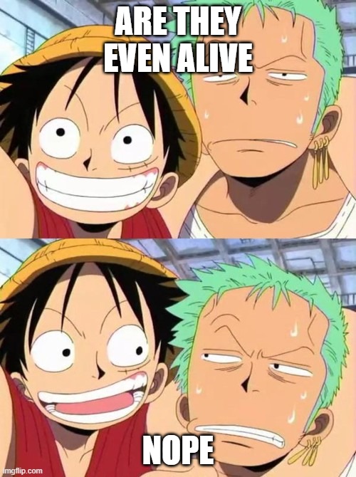 luffy and zoro | ARE THEY EVEN ALIVE; NOPE | image tagged in luffy and zoro | made w/ Imgflip meme maker