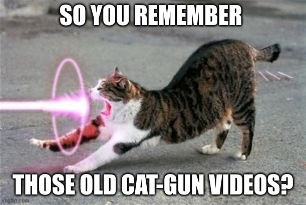 Kamehameha Cat | SO YOU REMEMBER; THOSE OLD CAT-GUN VIDEOS? | image tagged in kamehameha cat,memes,funny,meow | made w/ Imgflip meme maker