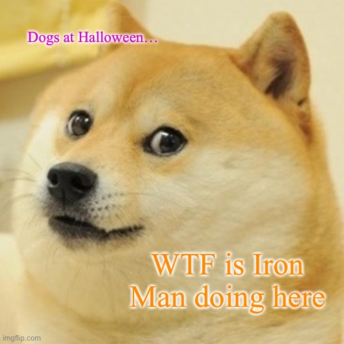 Doge Meme | Dogs at Halloween…; WTF is Iron Man doing here | image tagged in memes,doge | made w/ Imgflip meme maker