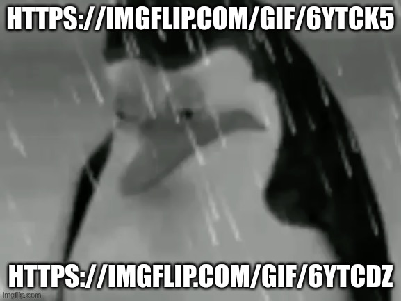the sad | HTTPS://IMGFLIP.COM/GIF/6YTCK5; HTTPS://IMGFLIP.COM/GIF/6YTCDZ | image tagged in the sad | made w/ Imgflip meme maker