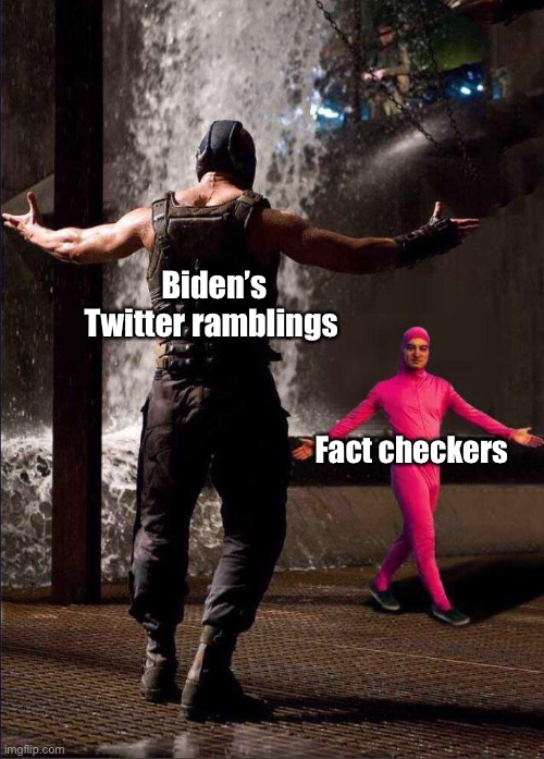 Easiest job on the planet | Biden’s Twitter ramblings; Fact checkers | image tagged in pink guy vs bane,politics lol,memes | made w/ Imgflip meme maker