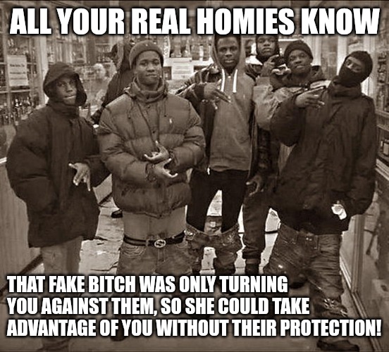 You Real Homies Know | ALL YOUR REAL HOMIES KNOW; THAT FAKE BITCH WAS ONLY TURNING YOU AGAINST THEM, SO SHE COULD TAKE ADVANTAGE OF YOU WITHOUT THEIR PROTECTION! | image tagged in all my homies hate | made w/ Imgflip meme maker