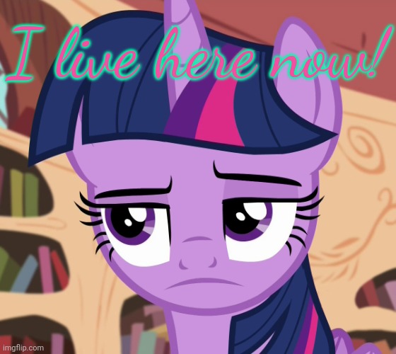 Unamused Twilight Sparkle (MLP) | I live here now! | image tagged in unamused twilight sparkle mlp | made w/ Imgflip meme maker