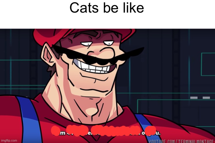 Mario I am four parallel universes ahead of you | Cats be like | image tagged in mario i am four parallel universes ahead of you | made w/ Imgflip meme maker