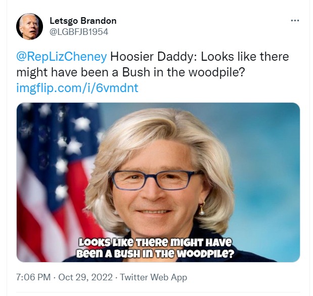 Trolling Liz Cheney: Hoosier Daddy? | image tagged in trolling the troll,trolling,liz cheney,george w bush,bush in the woodpile,who's your daddy | made w/ Imgflip meme maker