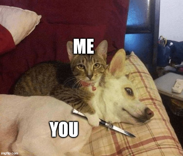 Cat with knife at dog's throat | ME YOU | image tagged in cat with knife at dog's throat | made w/ Imgflip meme maker