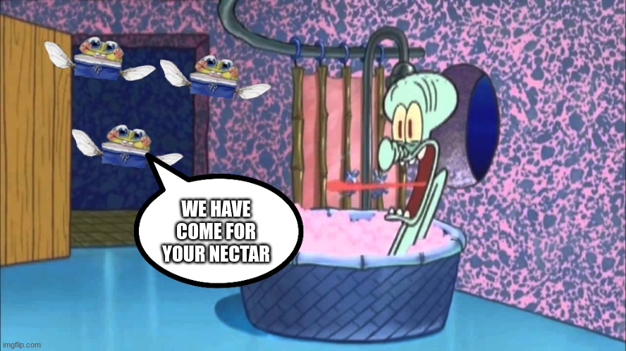 They have dropped by Squidward's house | WE HAVE COME FOR YOUR NECTAR | image tagged in who dropped by squidward's house | made w/ Imgflip meme maker