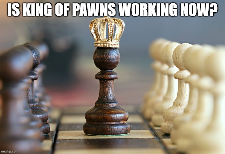 IS KING OF PAWNS WORKING NOW? | image tagged in king of pawns | made w/ Imgflip meme maker
