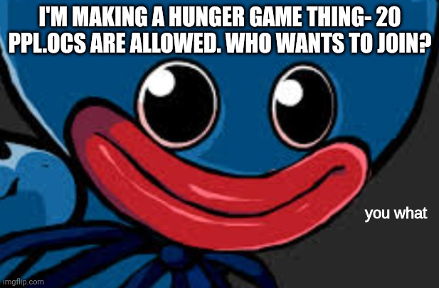 you what (Huggy Wuggy edition) | I'M MAKING A HUNGER GAME THING- 20 PPL.OCS ARE ALLOWED. WHO WANTS TO JOIN? | image tagged in you what huggy wuggy edition | made w/ Imgflip meme maker