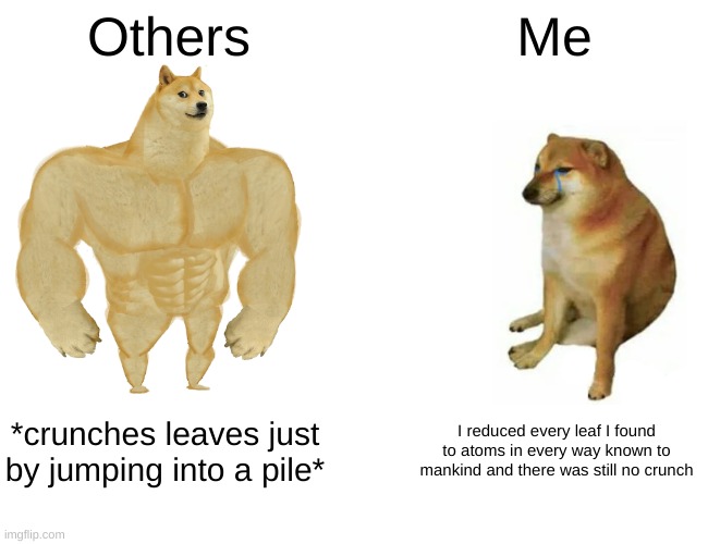 Autumn (I know I'm kinda late) | Others; Me; *crunches leaves just by jumping into a pile*; I reduced every leaf I found to atoms in every way known to mankind and there was still no crunch | image tagged in memes,buff doge vs cheems | made w/ Imgflip meme maker