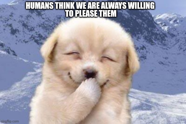 Laughing dog | HUMANS THINK WE ARE ALWAYS WILLING; TO PLEASE THEM | image tagged in laughing dog | made w/ Imgflip meme maker