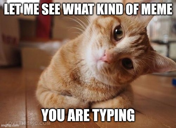 Curious Question Cat | LET ME SEE WHAT KIND OF MEME; YOU ARE TYPING | image tagged in curious question cat | made w/ Imgflip meme maker