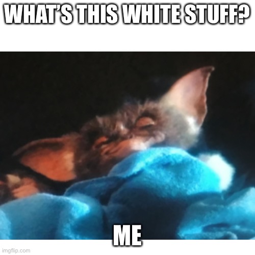 WHAT’S THIS WHITE STUFF? ME | image tagged in sus | made w/ Imgflip meme maker