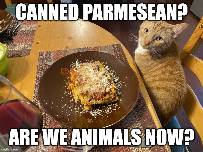 Lasagne |  CANNED PARMESEAN? ARE WE ANIMALS NOW? | image tagged in cat,grumpy cat,funny cats,funny cat memes,foods | made w/ Imgflip meme maker