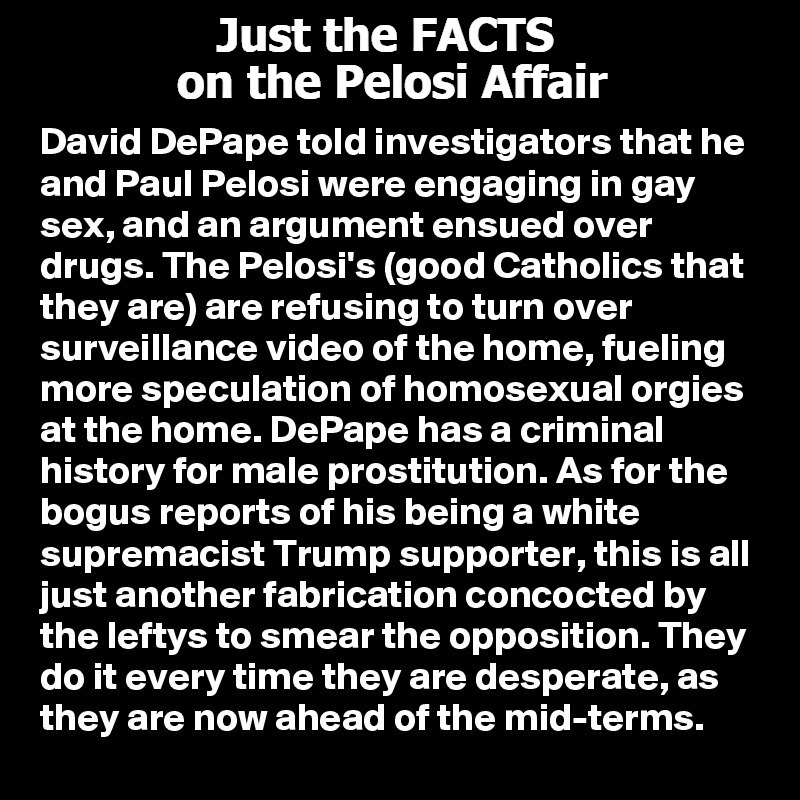 Just the FACTS on the Pelosi Affair | image tagged in paul pelosi,gay sex,good catholics,gay orgies,male prostitute,desperation | made w/ Imgflip meme maker