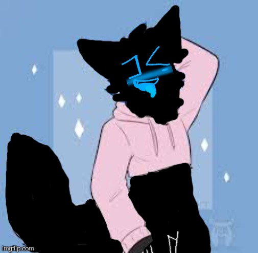 error is canonically a dom top, BUT smash 100/10 | image tagged in femboy furry | made w/ Imgflip meme maker