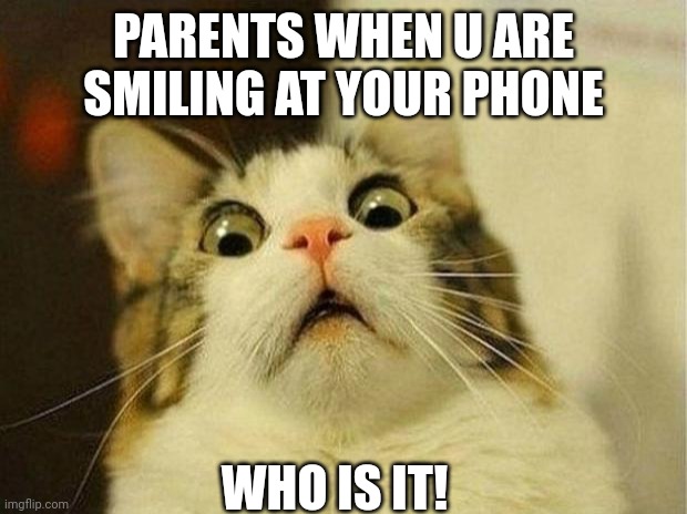 Scared Cat | PARENTS WHEN U ARE SMILING AT YOUR PHONE; WHO IS IT! | image tagged in memes,scared cat | made w/ Imgflip meme maker