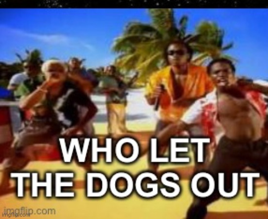 Who let the dogs out | image tagged in who let the dogs out | made w/ Imgflip meme maker