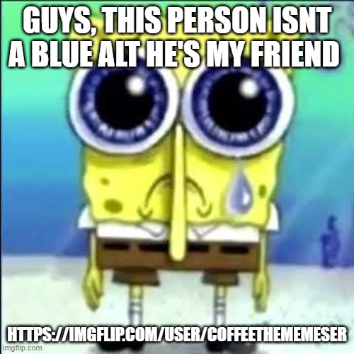 Sad Spongebob | GUYS, THIS PERSON ISNT A BLUE ALT HE'S MY FRIEND; HTTPS://IMGFLIP.COM/USER/COFFEETHEMEMESER | image tagged in sad spongebob | made w/ Imgflip meme maker
