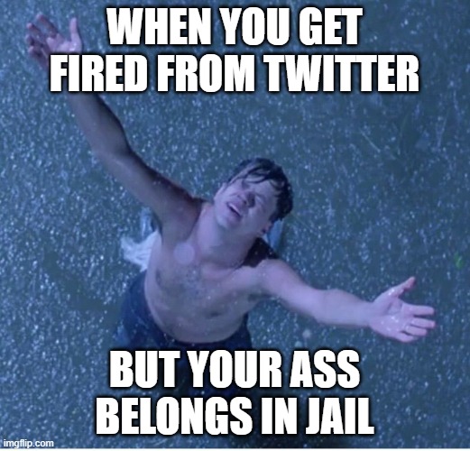 The twatzis should all be in jail for election interference and fraud. | WHEN YOU GET FIRED FROM TWITTER; BUT YOUR ASS BELONGS IN JAIL | image tagged in politics,jail,free speech,the shawshank redemption,liberal hypocrisy,corporate greed | made w/ Imgflip meme maker