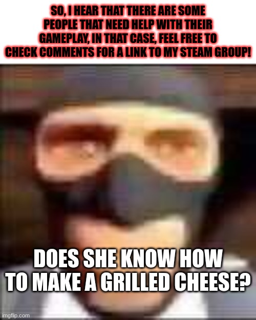 Please and Thank you | SO, I HEAR THAT THERE ARE SOME PEOPLE THAT NEED HELP WITH THEIR GAMEPLAY, IN THAT CASE, FEEL FREE TO CHECK COMMENTS FOR A LINK TO MY STEAM GROUP! DOES SHE KNOW HOW TO MAKE A GRILLED CHEESE? | image tagged in spi | made w/ Imgflip meme maker