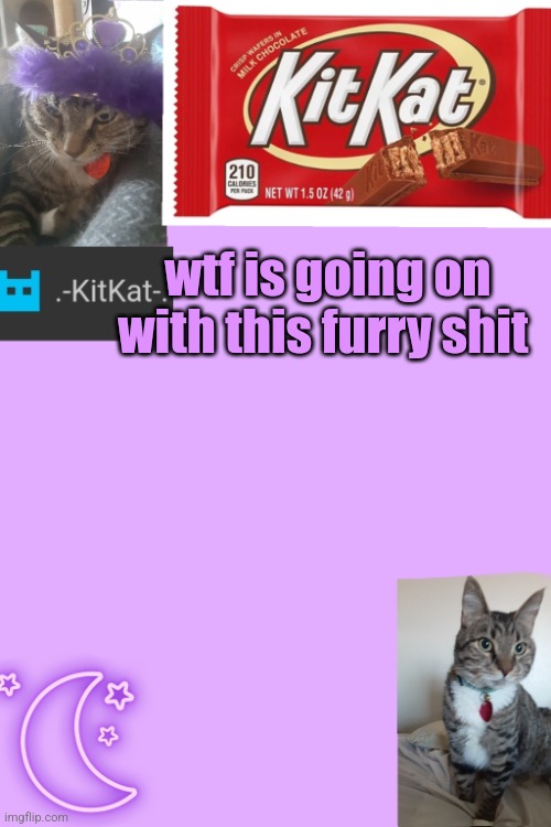 Kittys announcement template kitkat addition | wtf is going on with this furry shit | image tagged in kittys announcement template kitkat addition | made w/ Imgflip meme maker
