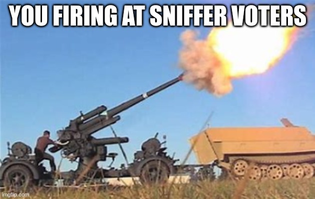 Flak gun | YOU FIRING AT SNIFFER VOTERS | image tagged in flak gun | made w/ Imgflip meme maker