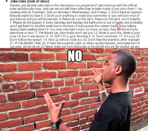 NO | image tagged in talking to wall | made w/ Imgflip meme maker