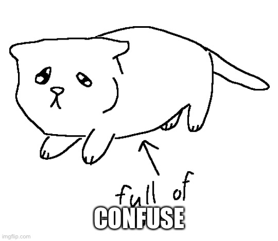 full of milk cat | CONFUSE | image tagged in full of milk cat | made w/ Imgflip meme maker
