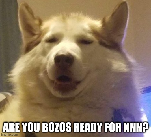 You know the rules and so do I | ARE YOU BOZOS READY FOR NNN? | image tagged in nnn dog | made w/ Imgflip meme maker
