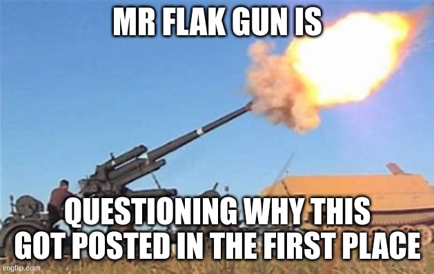 Flak gun | MR FLAK GUN IS QUESTIONING WHY THIS GOT POSTED IN THE FIRST PLACE | image tagged in flak gun | made w/ Imgflip meme maker