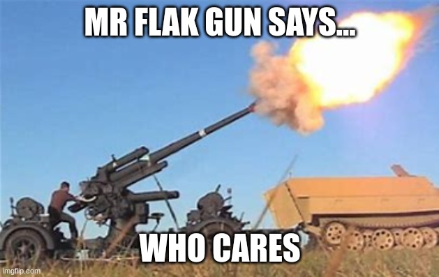 Flak gun | MR FLAK GUN SAYS... WHO CARES | image tagged in flak gun | made w/ Imgflip meme maker