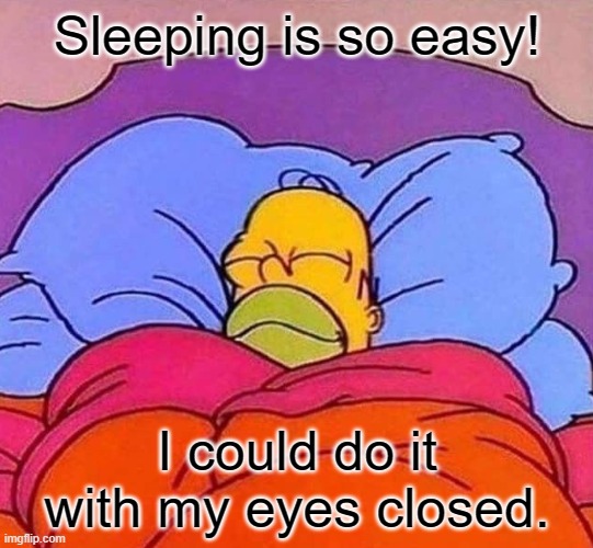 Homer Simpson sleeping peacefully | Sleeping is so easy! I could do it with my eyes closed. | image tagged in homer simpson sleeping peacefully | made w/ Imgflip meme maker