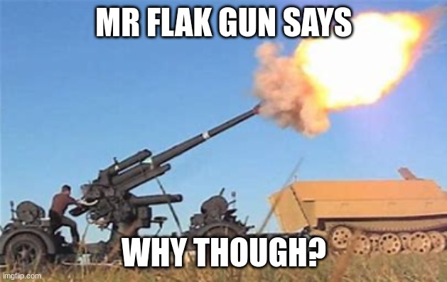 Flak gun | MR FLAK GUN SAYS WHY THOUGH? | image tagged in flak gun | made w/ Imgflip meme maker