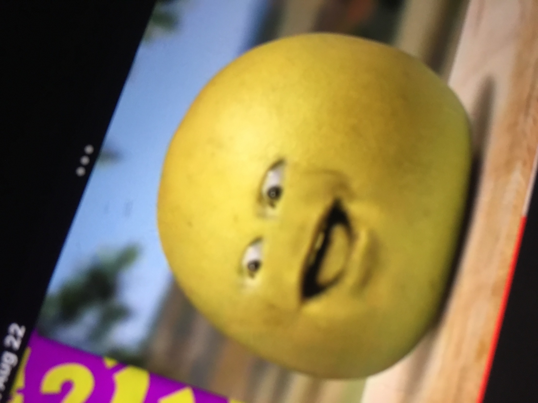 g r a p e f r u i t Blank Meme Template