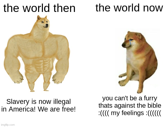 Buff Doge vs. Cheems Meme | the world then; the world now; Slavery is now illegal in America! We are free! you can't be a furry thats against the bible :(((( my feelings :(((((( | image tagged in memes,buff doge vs cheems | made w/ Imgflip meme maker