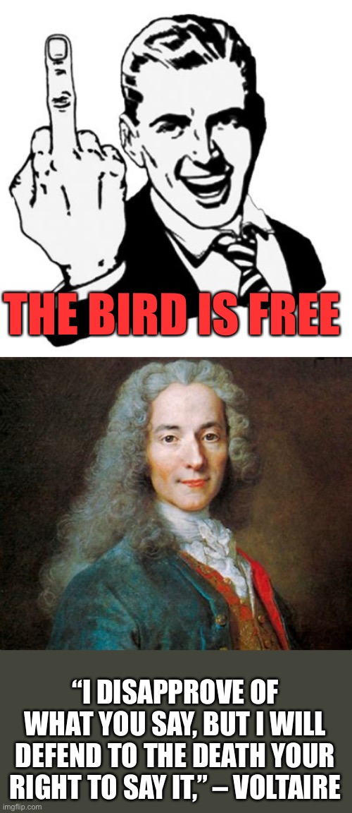 Censorship is tyranny. | THE BIRD IS FREE; “I DISAPPROVE OF WHAT YOU SAY, BUT I WILL DEFEND TO THE DEATH YOUR RIGHT TO SAY IT,” – VOLTAIRE | image tagged in 1950s middle finger,the bird is free,voltaire,censorship,tyranny | made w/ Imgflip meme maker